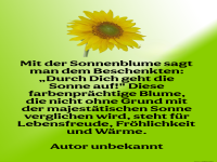 mit der sonnenblume