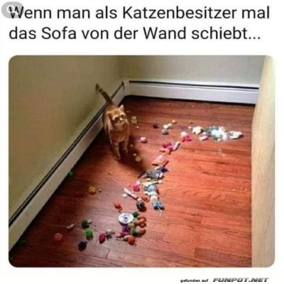 Katzengeheimnisse-hinter-dem-Sofa.jpg von Kurt1978