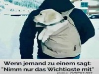 Nur das Wichtigste