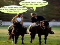 Flirt auf vier Hufen