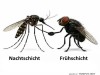weiter