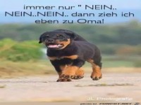 Immer nur NEIN