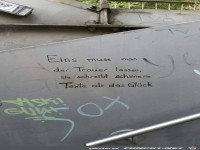 eines-muss-man-der-trauer-lassen-sie-schreibt-schoenere-text