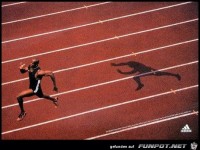 schneller als der schatten