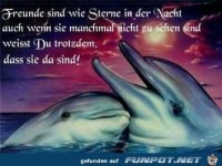 Freunde sind wie Sterne in der Nacht