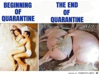 Beginn und Ende der Quarant�ne