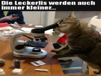Leckerlis werden gepr�ft