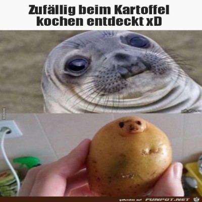 Zuf&auml;llig-beim-Kartoffeln-kochen-entdeckt.jpg von Sia