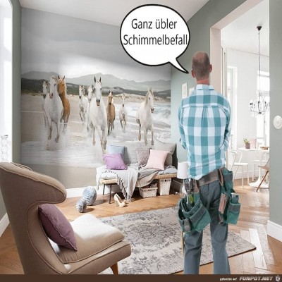 Schimmelbefall.jpg von Randy
