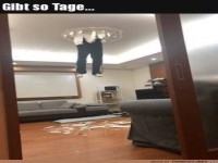 An manchen Tagen l�uft es einfach