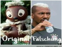 Original - F�lschung