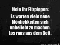 Moin