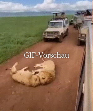 lustiger Spruch