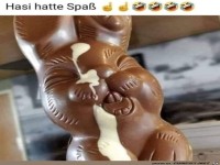 Hasi hat Spa�