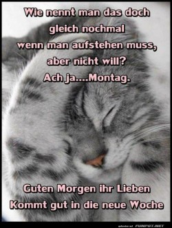 Guten-Morgen-am-Montag.jpg auf www.funpot.net