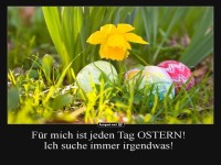 Blumen und Ostereier im Gras