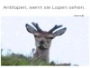 weiter