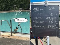 Ente und kalte Wassertemperaturen im Freibad