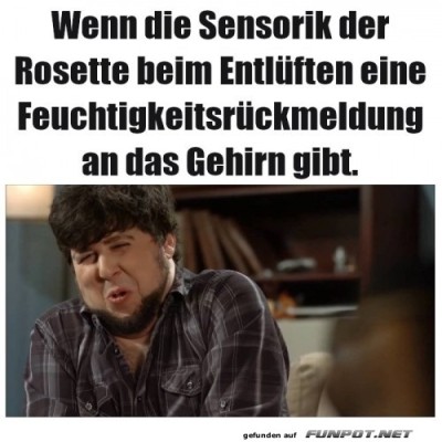 Nett-umschrieben.jpg von Bela