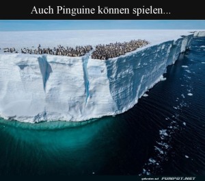 Pinguin-Picknick-auf-dem-Eisgrat.jpg auf www.funpot.net