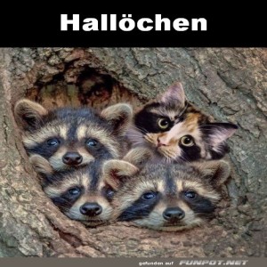 Hall�chen.jpg von Leif