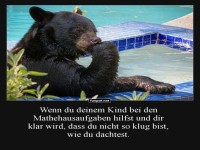 Mathe-Denker: Bär macht den Denker