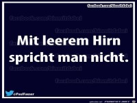 ----------------------------Hirn