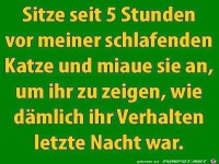 Sitze seit 5 Stunden vor meiner...