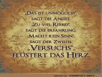 herz 3 