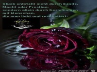 556319 508123929221792 1603783513 n