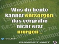 morgen
