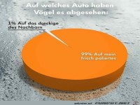 V�gel und Autos