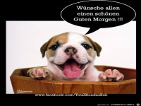 Schoenen Guten Morgen