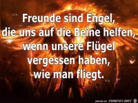 Freunde sind