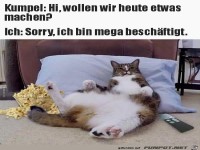 Kumpel:.....
