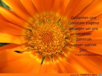 Gedanken und Gefuehlen folgend