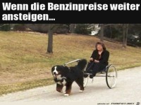 Neues Verkehrsmittel