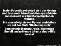 In der Pubert�t