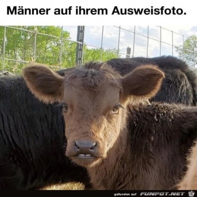 Auf-dem-Ausweis.jpg von Karan