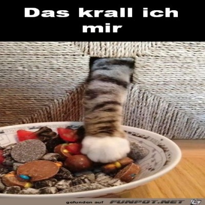 Das-krall-ich-mir.jpg von Hira