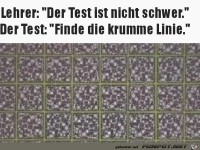 Leichter Test