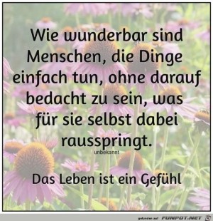 Wie-wunderbar.jpg auf www.funpot.net