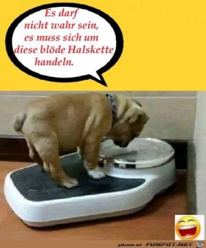 Diese-schwere-Halskette-wieder.jpg auf www.funpot.net