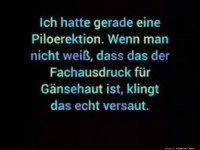 Eine Piloerektion
