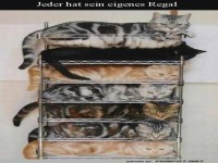 Ein Regalplatz f�r jeden