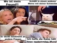 Lustiges Meme mit Katze und Beziehungskonflikt