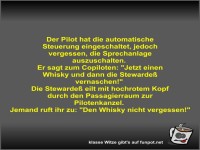 Der Pilot hat die automatische Steuerung eingeschaltet