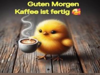 Wenn der frhe Vogel Kaffee serviert