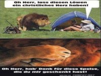 Camping mit L�wen: Ein himmlisches Abenteuer!