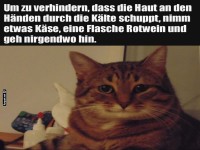 Katzenratgeber f�r kalte Tage